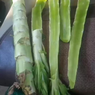 莴笋杆有要的联系