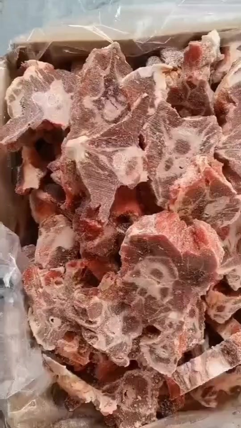 满肉羊蝎子