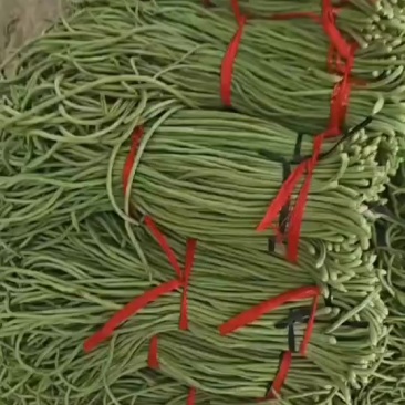 青条豆角
