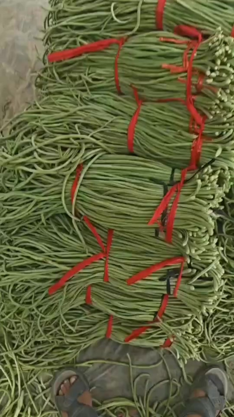 青条豆角