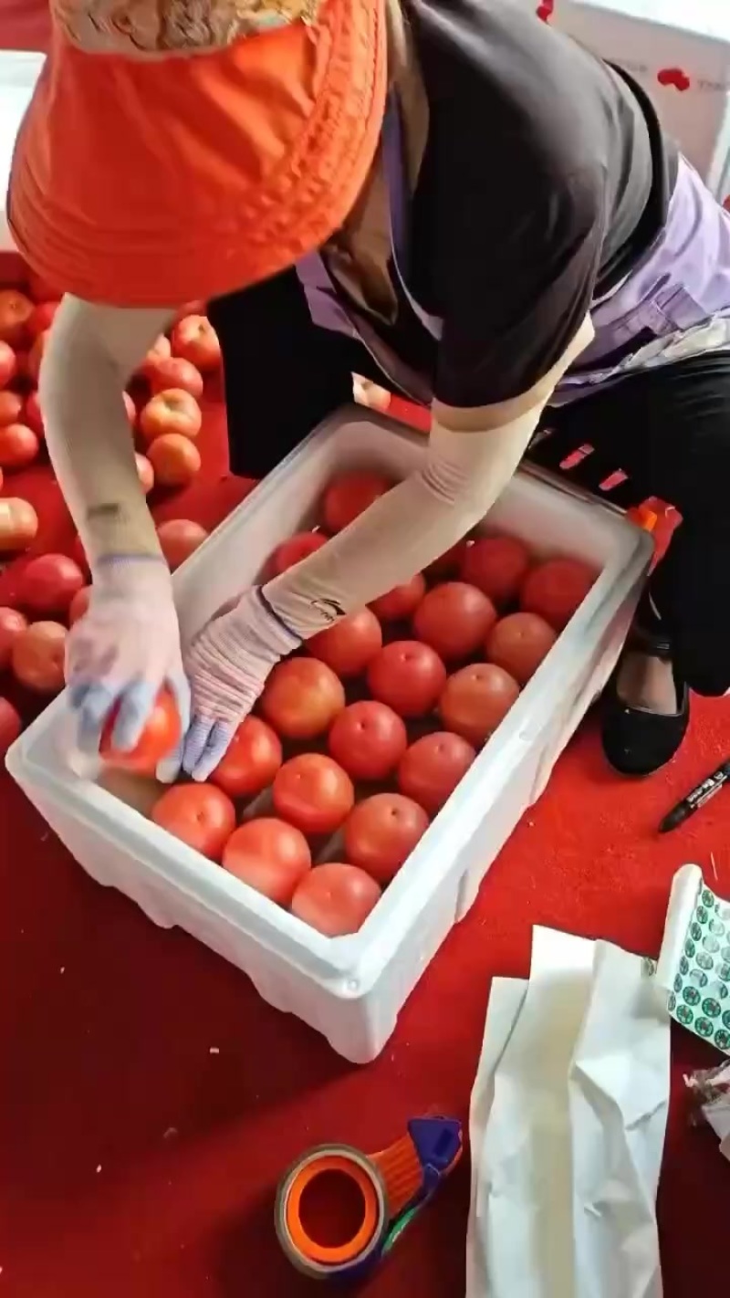 粉柿子炸街市场