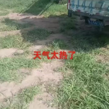 有需要的联系