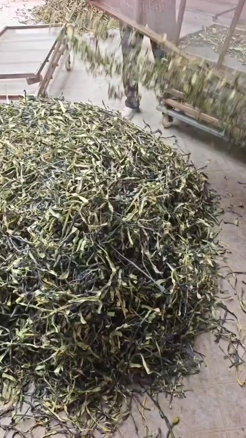 青冬瓜皮
