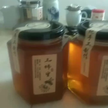 广东山区夏季土蜂蜜，