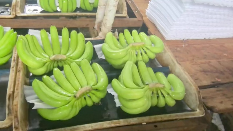 香蕉