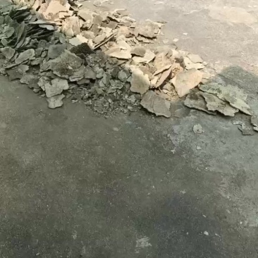 紫梢花
