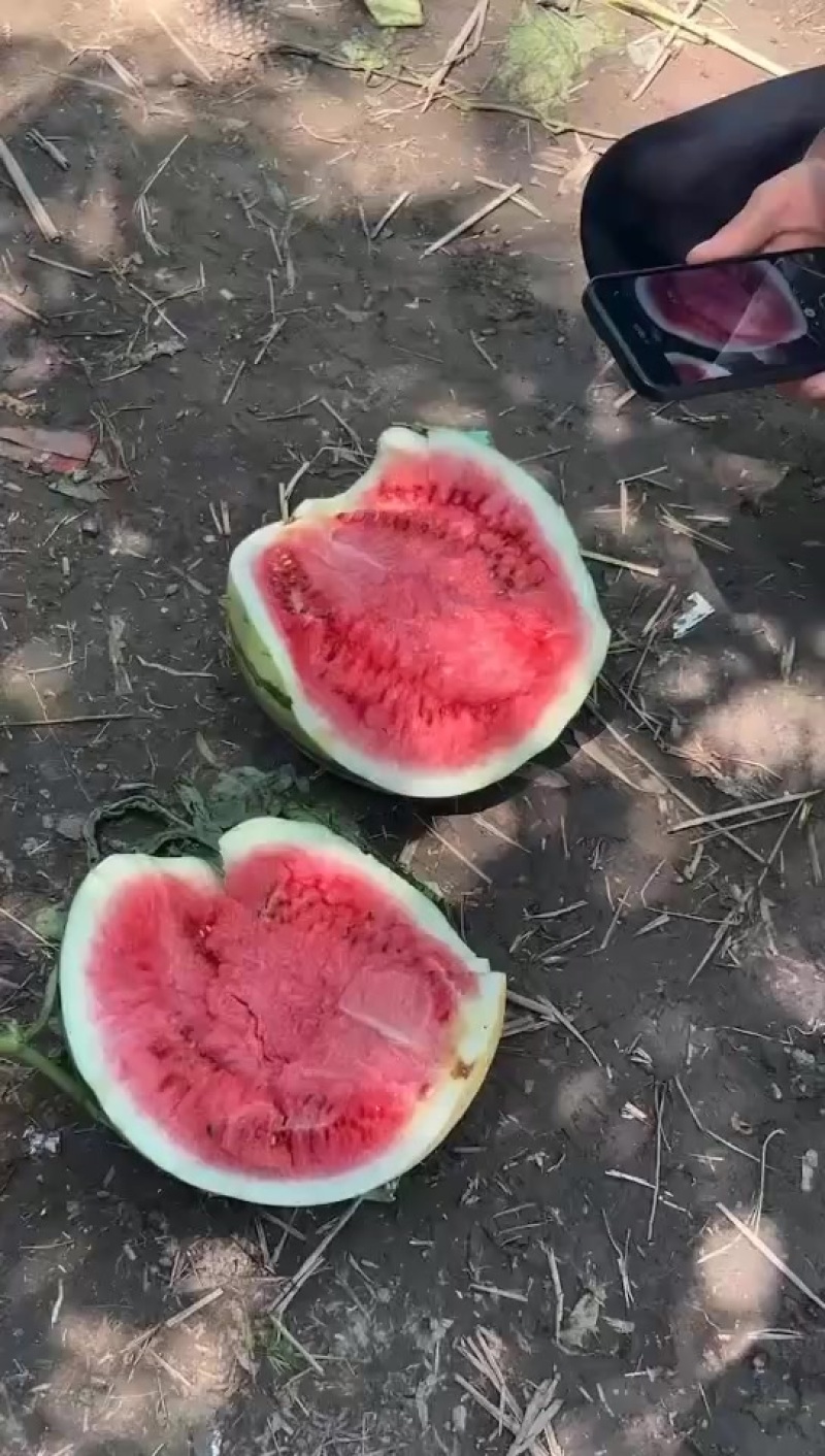 美都