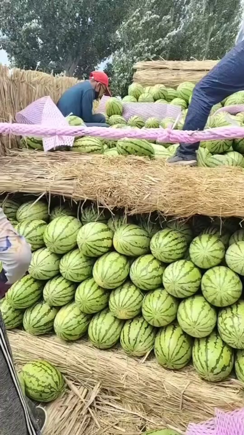 沙漠一号，大量现货