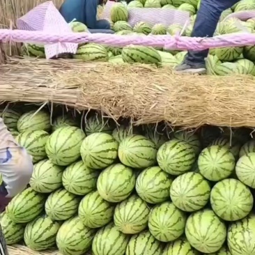 沙漠一号，大量现货