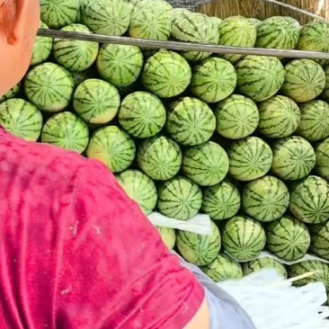 西瓜