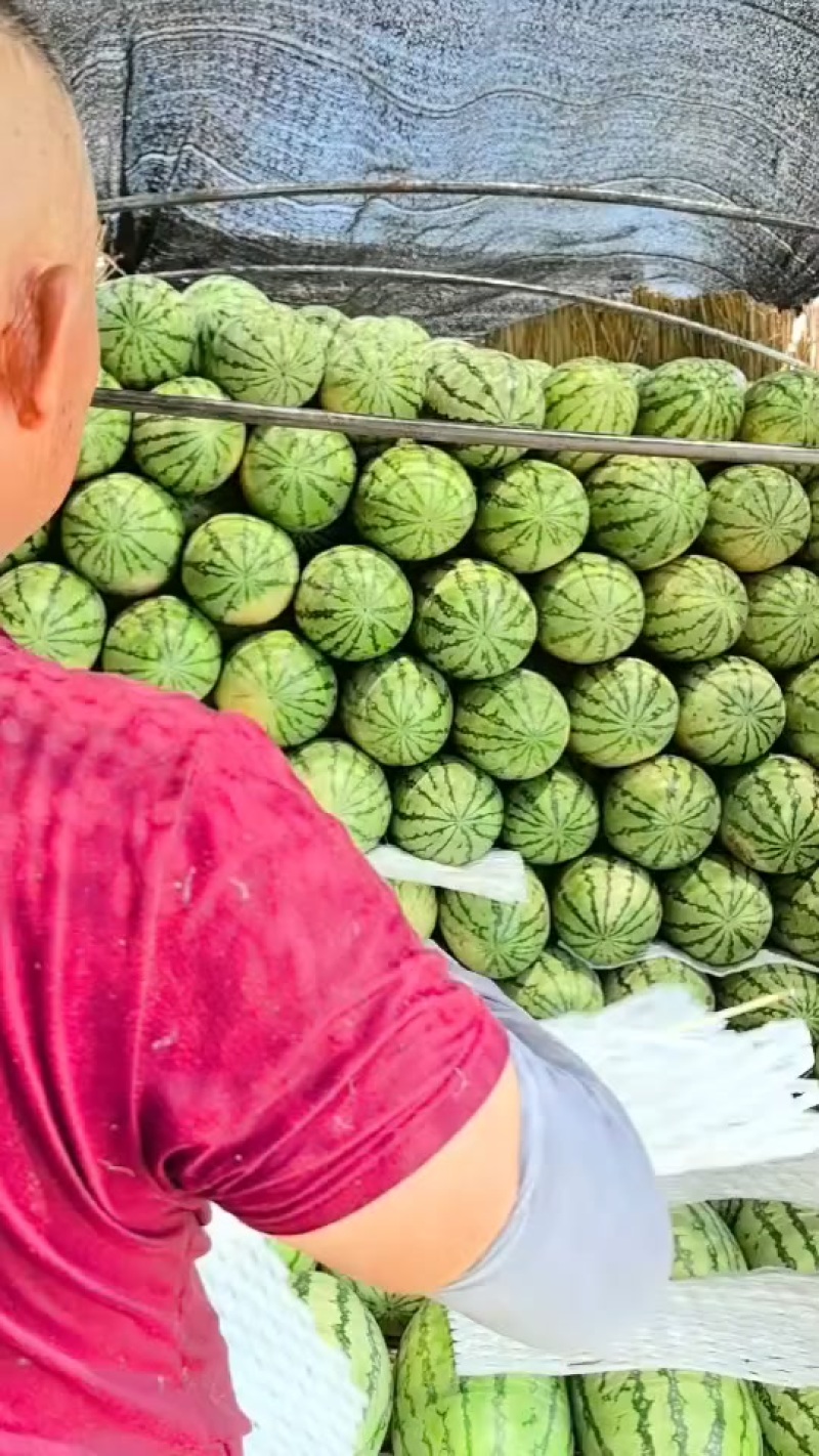 西瓜