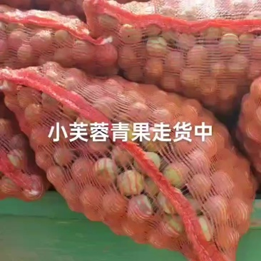 青果小芙蓉李子还有几挂车货，价实惠需要的老板速联系我！