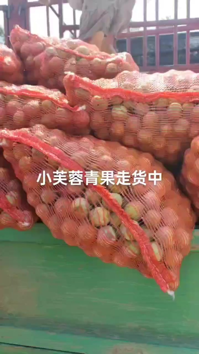 青果小芙蓉李子还有几挂车货，价实惠需要的老板速联系我！