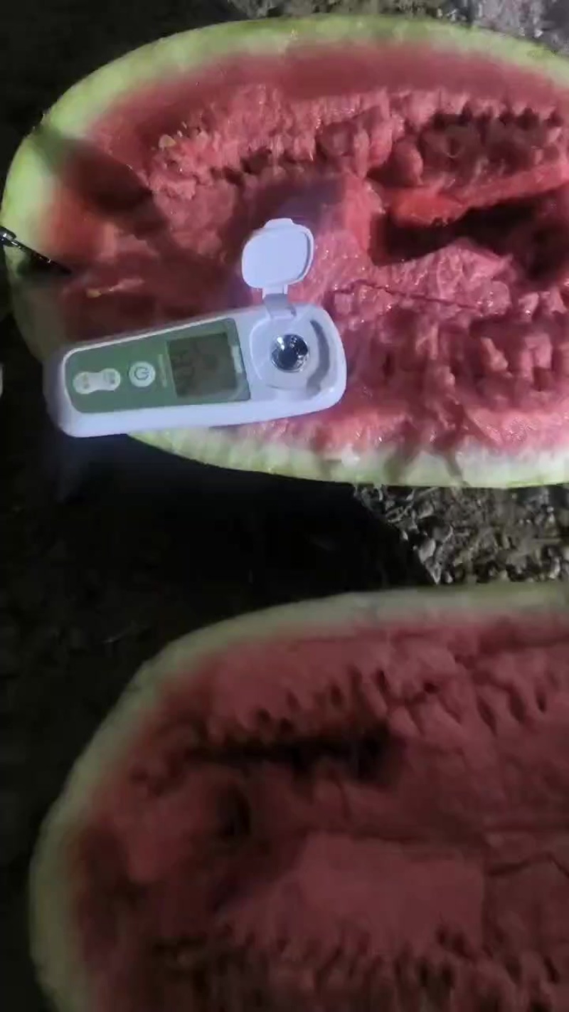 宁夏石头地里西瓜