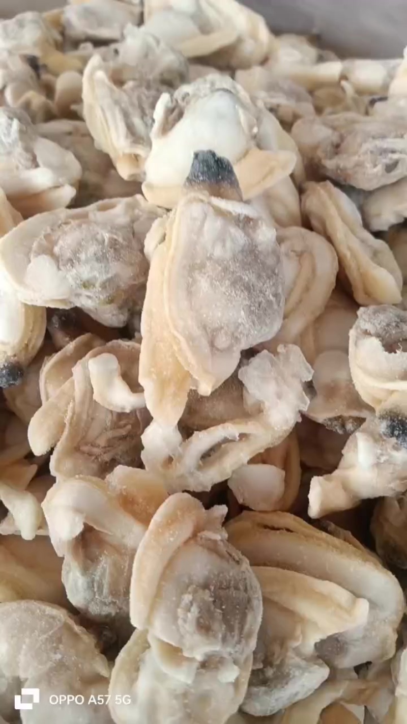 花蛤肉