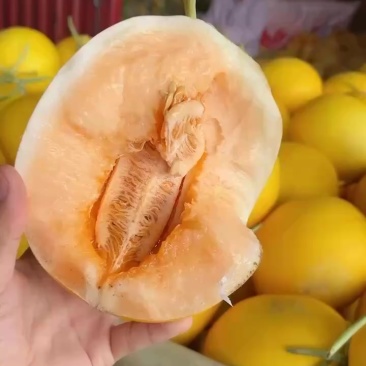 金红宝
