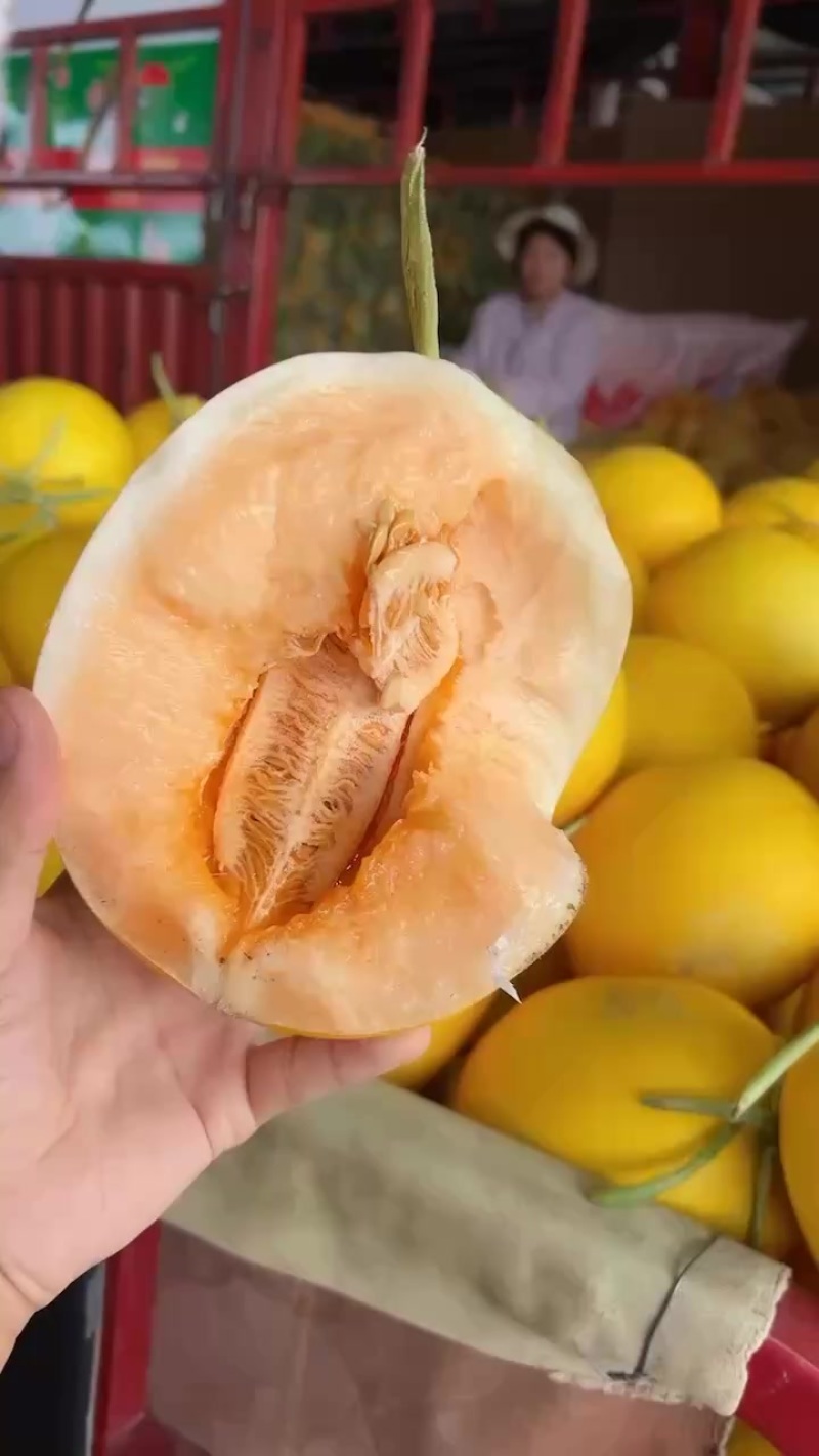 金红宝