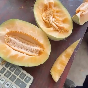 晓蜜25