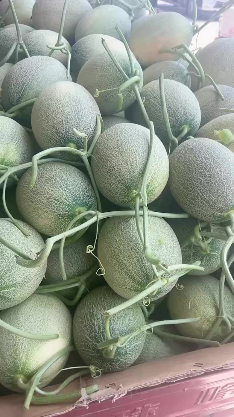 晓蜜25