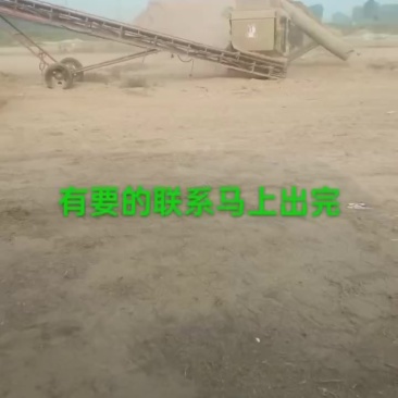 花生秧草料