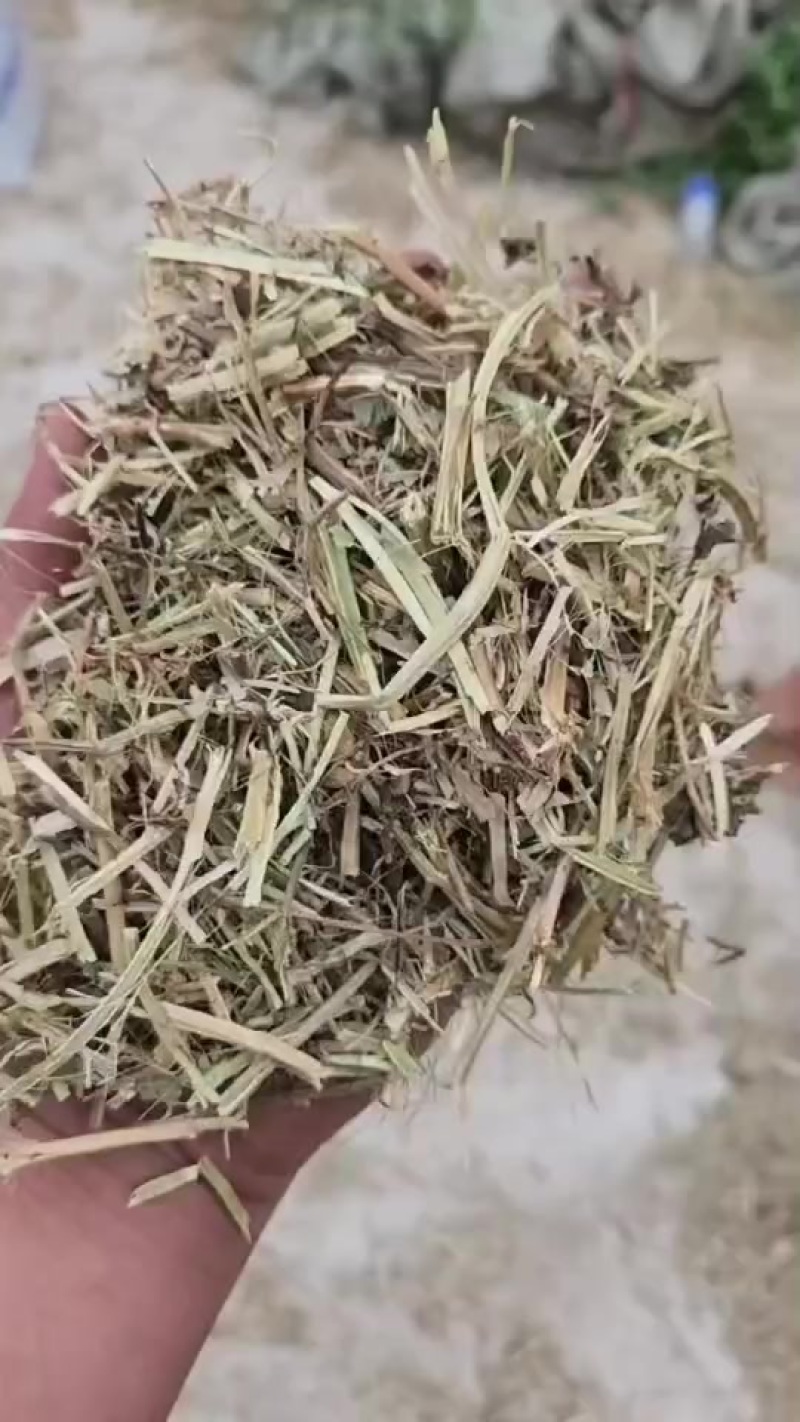 花生秧草料