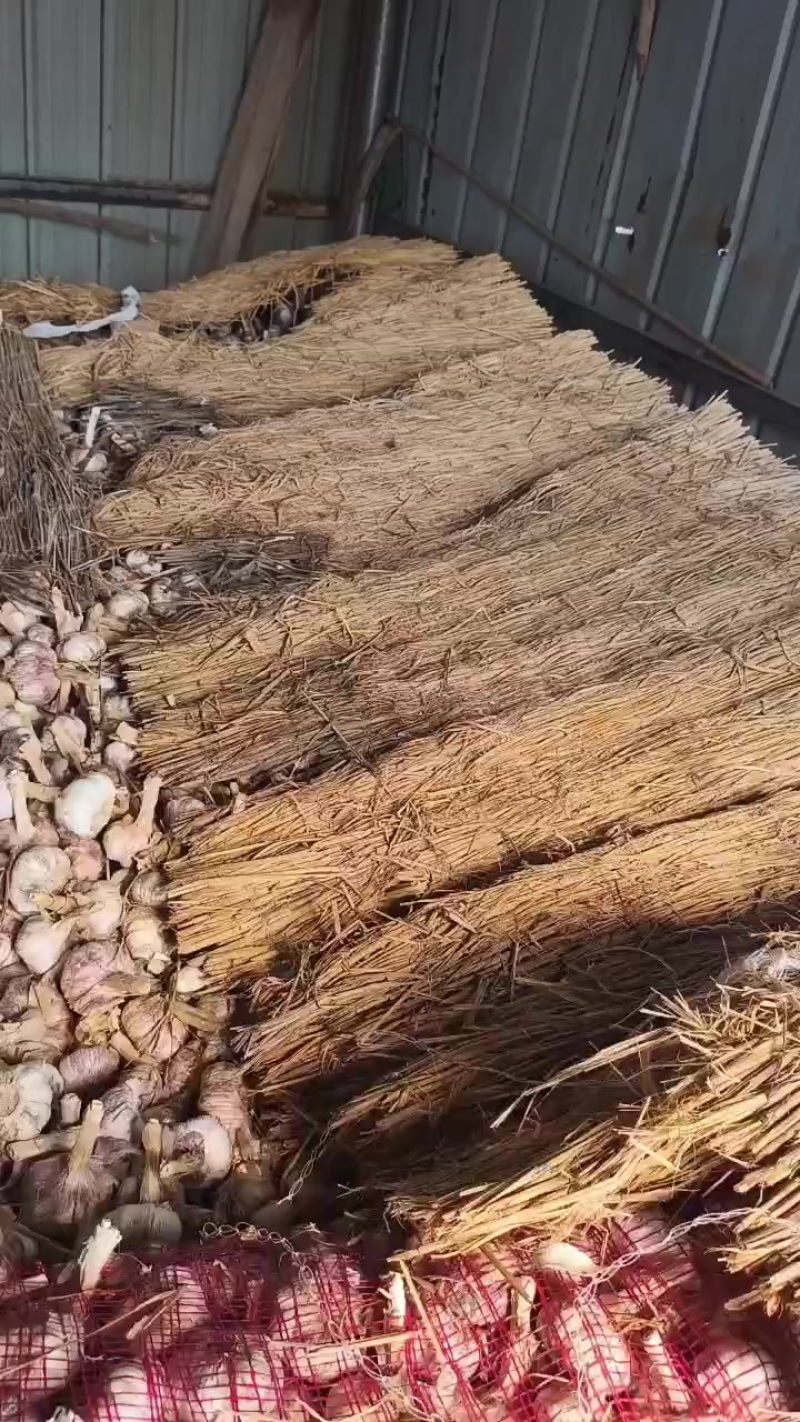 大蒜