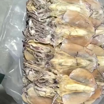 精品推荐浙江舟山优质鱼干，一手货源，产地直销