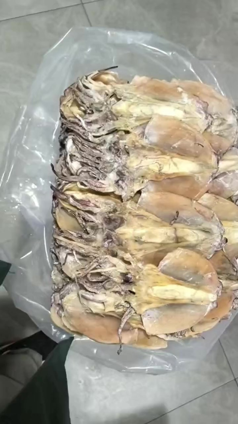 精品推荐浙江舟山优质鱼干，一手货源，产地直销