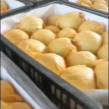 翠玉梨，白皇冠，青梨，大量上市，一手货源，量大从优，欢迎
