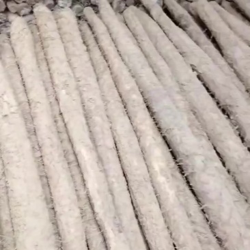 长年销售白玉山药