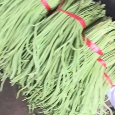 鲜豆角