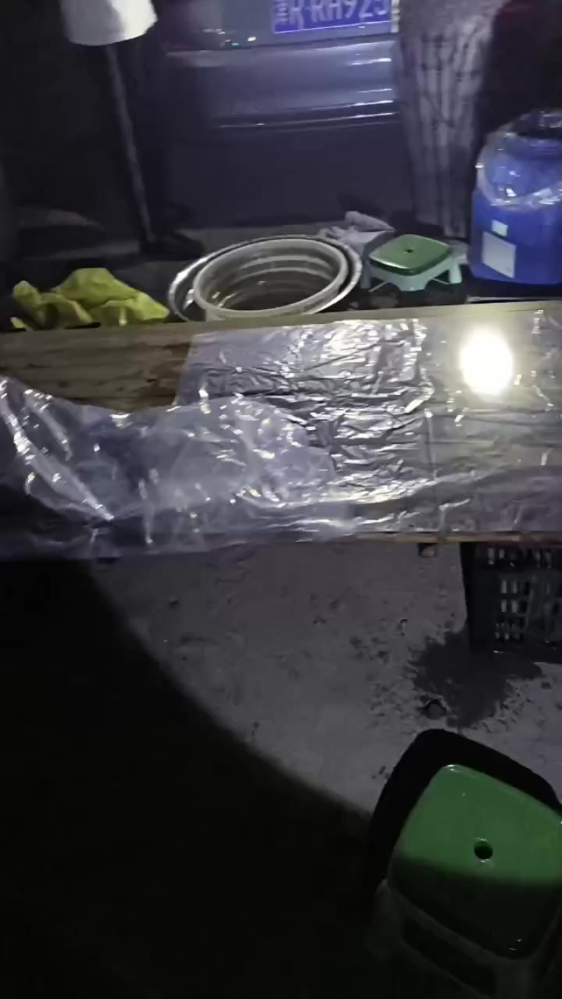 金蝉