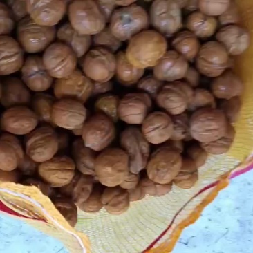 脱皮核桃