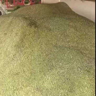槐米通货出售。