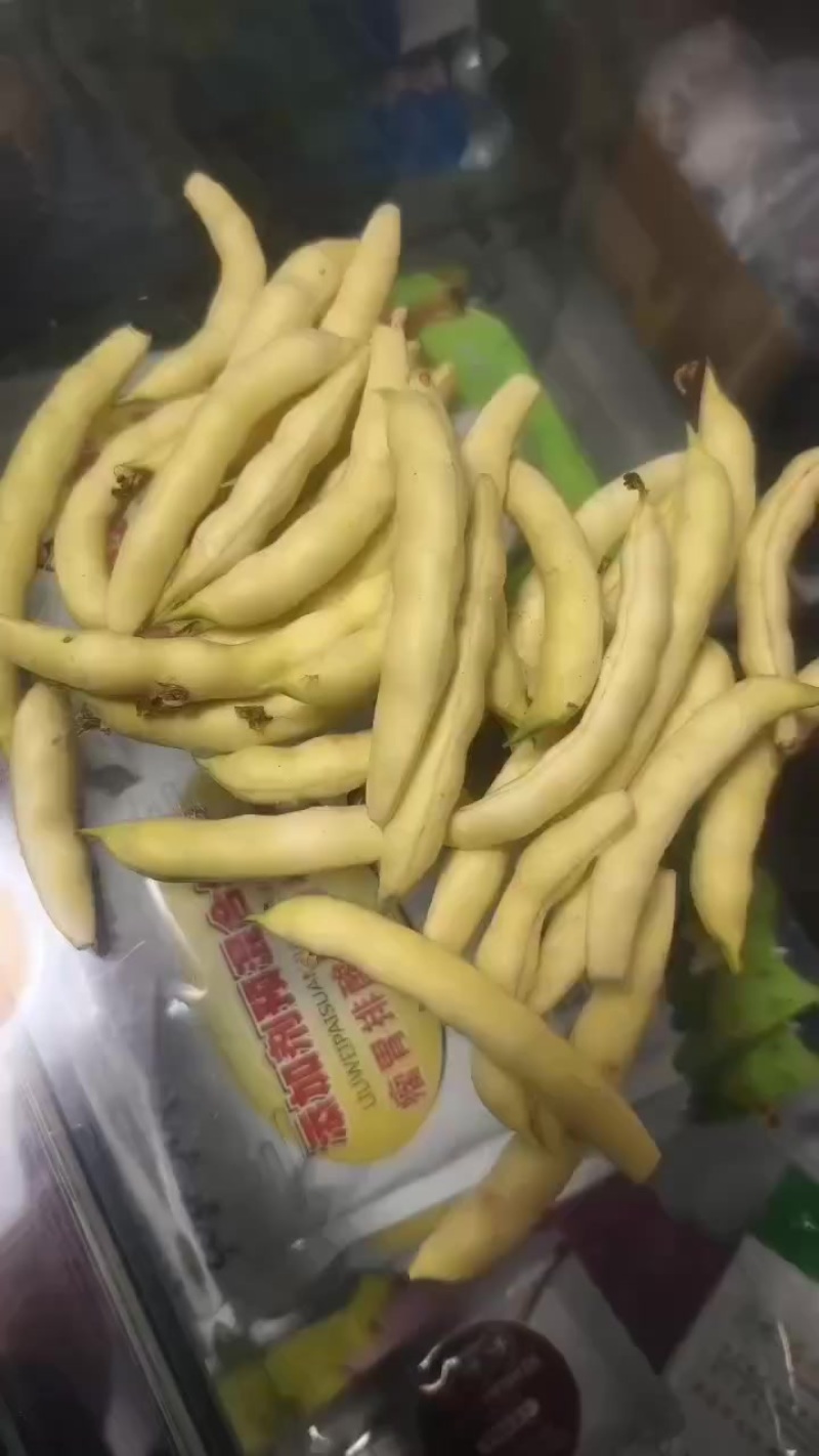 黄金沟豆角