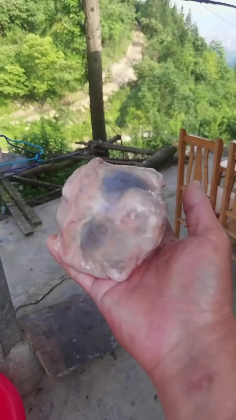 鸡宝