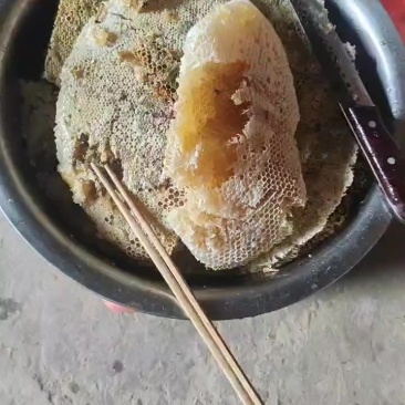 土蜂蜜