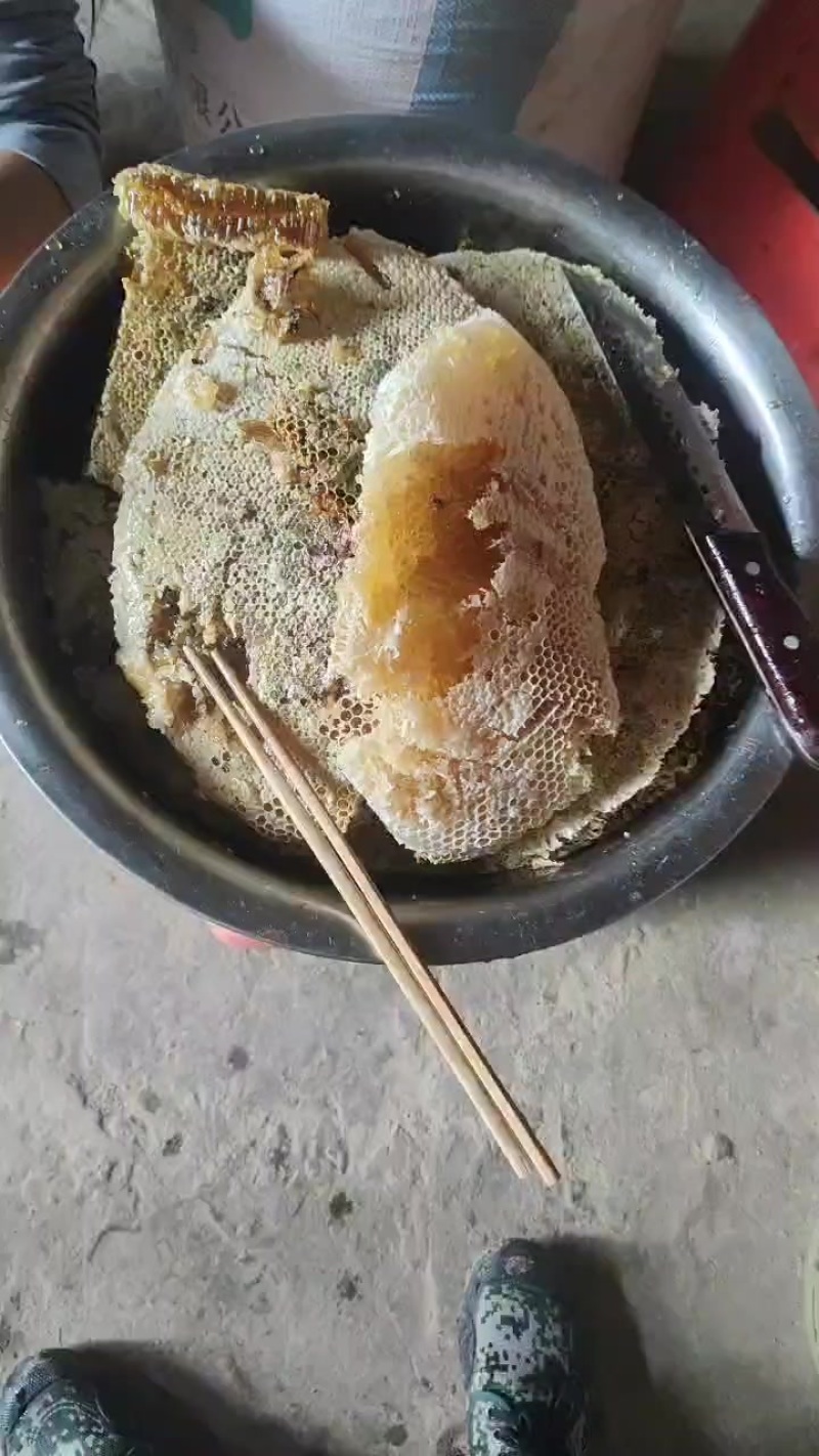 土蜂蜜