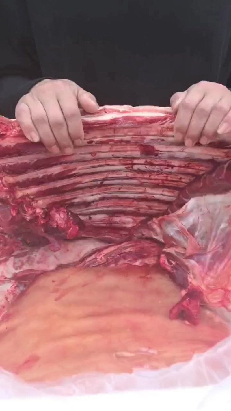 带皮马肉精修去油量大从优