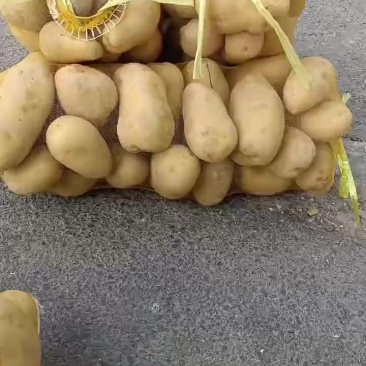 土豆🥔