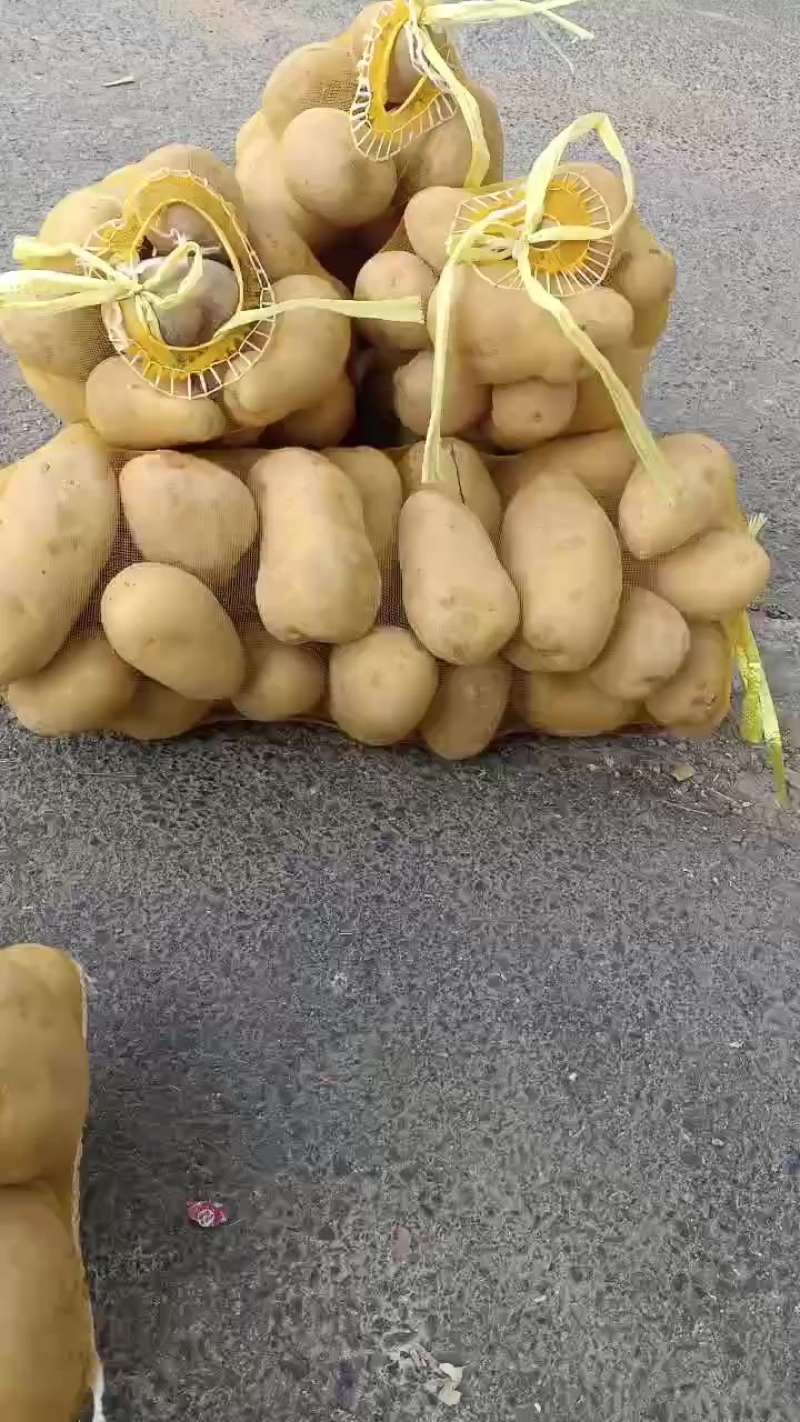 土豆🥔