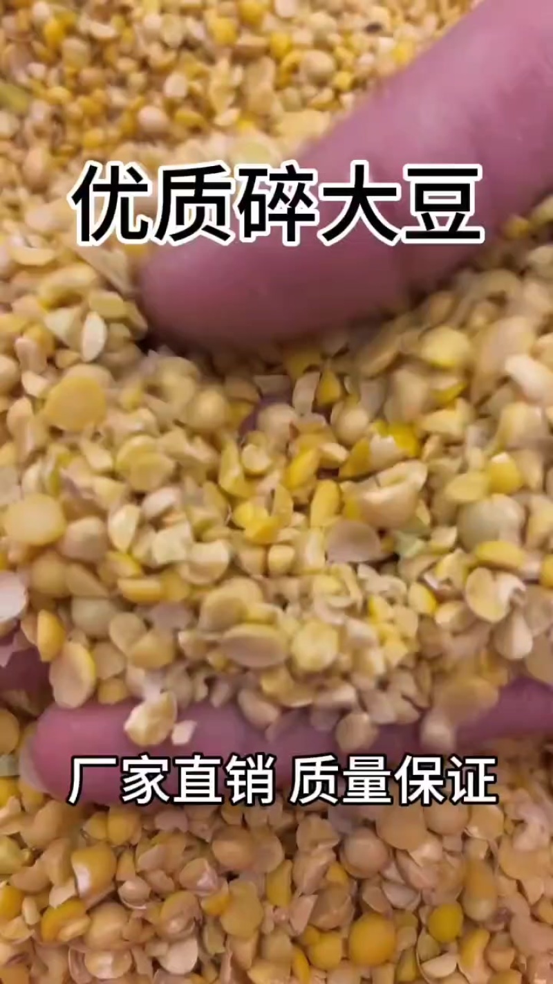 碎大豆