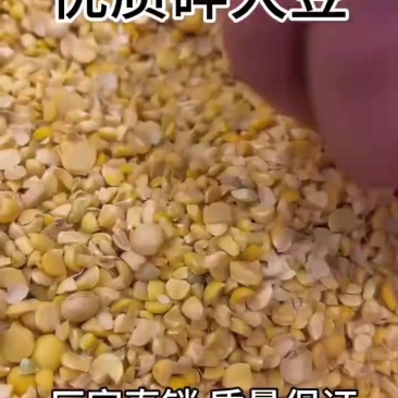 碎大豆