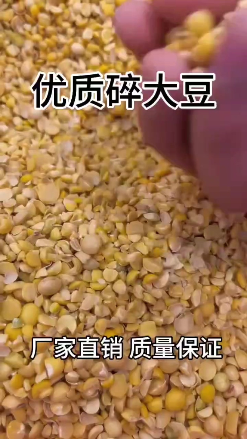 碎大豆