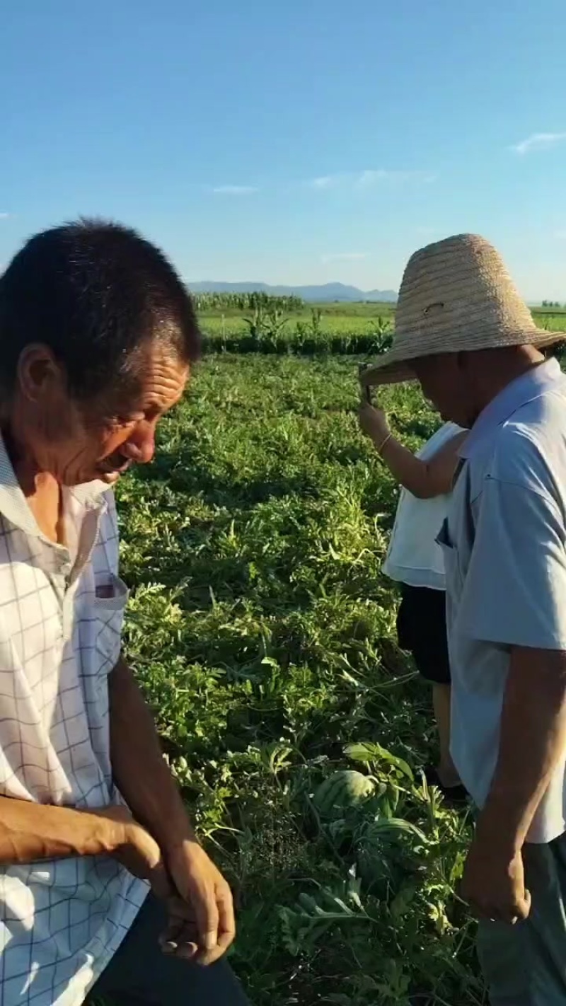 西瓜