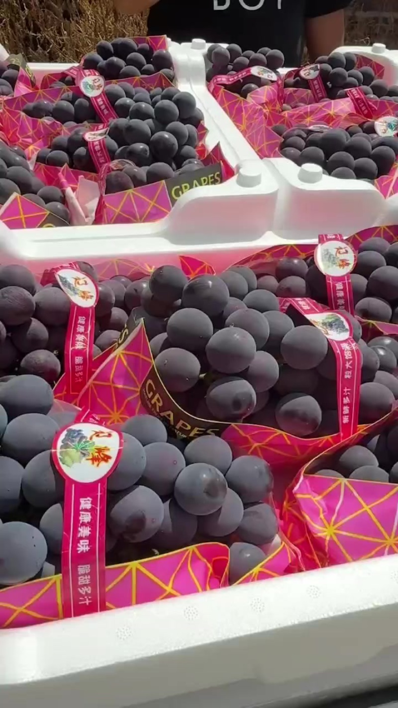 产地辽峰，大量上市！