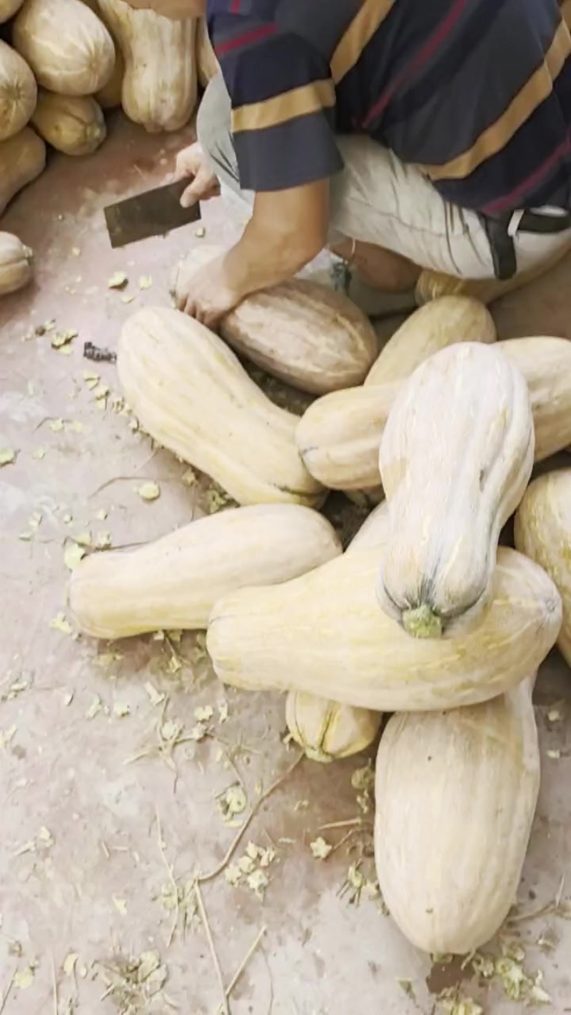南瓜