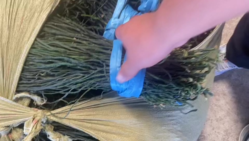 精品干豆角