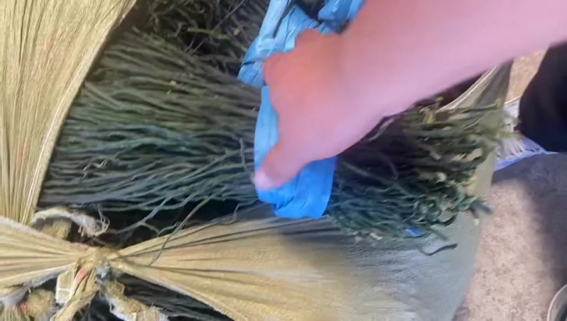 精品干豆角