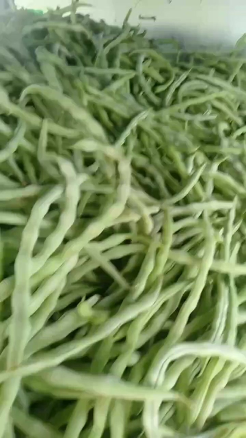 白无丝